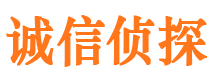 新县市侦探调查公司